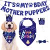 Dog Birthday Bandana & Bowtie Set