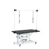 Heavy Duty Dog Grooming Table 43" Adjustable