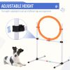 Outdoor Dog Fitness Agility Set 5 Piece