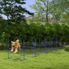 Dog Training Agility Equipment Set 6-Piece Blue