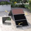 Dog Training Agility Ramp Non-Slip