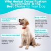 Natural Detox Supplement for Dogs