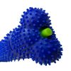 Dog Teeth Cleaning Toys