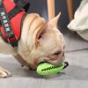 Puppy Training Teething Toy
