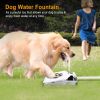 Pet Water Fountain Step-On Dispenser