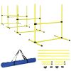 Dog Agility Starter Set 4 Piece Yellow