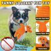 Puppy Toys for Teething