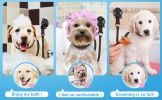 Dog Grooming Safety Lanyard