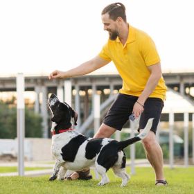 Dog Bark Control Device – 4 Modes