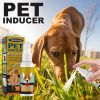 Dog & Cat Defecation Locator Spray