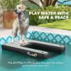 Dog Boat Ramp
