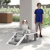 PawHut Wooden Dog Training Platform with Ladder