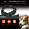 Dog Heated Water Bowl