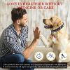 Ultrasonic Flea Tick Treatment for Dogs 2 Pac