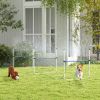 Dog Agility Training Equipment Set