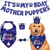 Dog Birthday Bandana & Bowtie Set