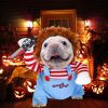 Chucky Dog Costume