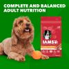 Lamb Rice Dry Dog Food