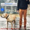 Dog Bark Shock Collar