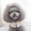 Lace Dog Collars