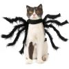 Dog Spider Costume