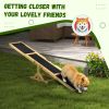 Wooden Dog Agility Seesaw for Training