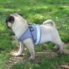Harness with Leash Set