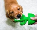 Dog Cactus Shape Stick