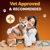 Dog Pumpkin Supplement