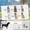 Dog Bike Trailer & Stroller
