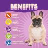 Dog Probiotic Powder