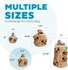 Dog Toy Puzzle