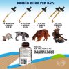 Natural Worm Prevention Supplement for Pets