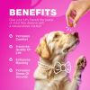 Cranberry Supplement for Dog Urinary Health
