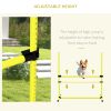 Dog Agility Starter Set 4 Piece Yellow