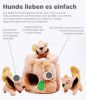 Dog Toy Puzzle
