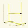 Dog Agility Starter Set 4 Piece Yellow