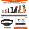 Dog Training Collar
