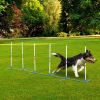 Dog Agility Starter Set with Weave Poles