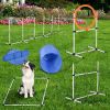 Outdoor Dog Fitness Agility Set 5 Piece