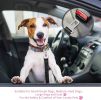 Adjustable Dog Seat Belt