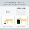 Pet Dining Station