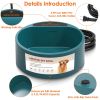 Dog Heated Water Bowl