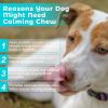 Natural Dog Anxiety & Calming Support Chews