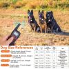 Dog Training Collar