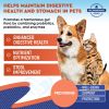Probiotics Prebiotic Enzymes Dogs