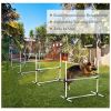 Dog Agility Training Set 4 Piece Adjustable Jumps