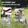 Soccer Ball for Dogs