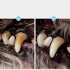 Dental Care Tool for Dogs & Cats