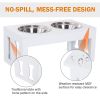 Dog Bowl Feeding Station